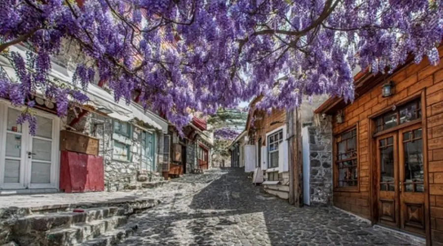 Unforgettable Tour from Izmir to Lesbos with Door Visa — 4/8