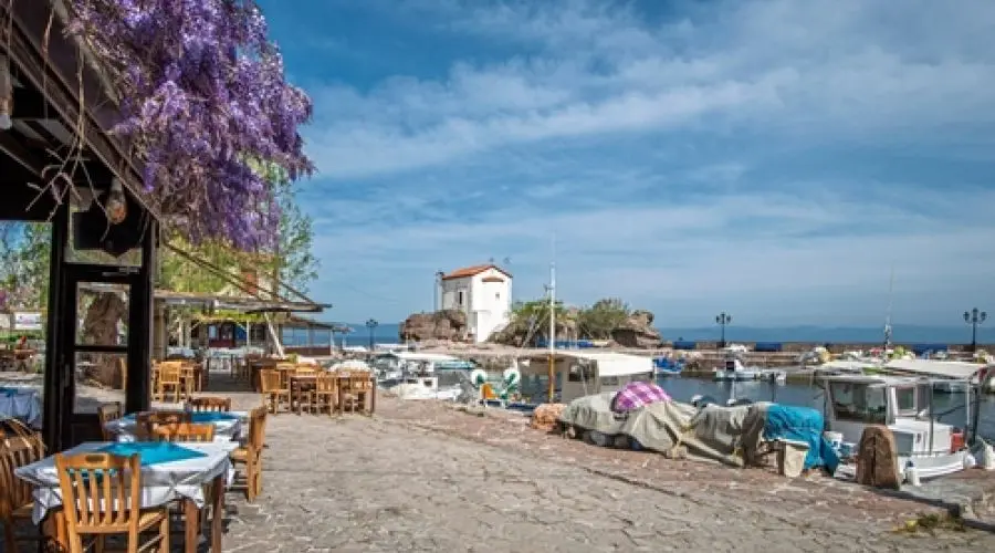 Unforgettable Tour from Izmir to Lesbos with Door Visa — 5/8