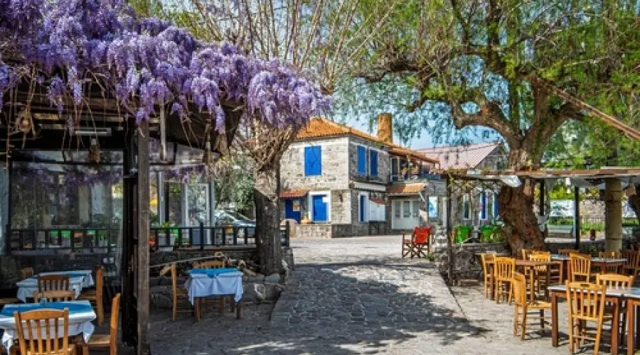 Unforgettable Tour from Izmir to Lesbos with Door Visa — 6/8