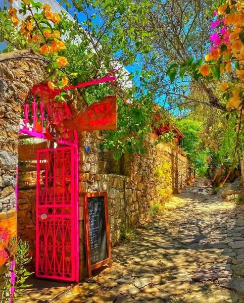 Marmaris and Sedir Island Tour fotoğraf 9