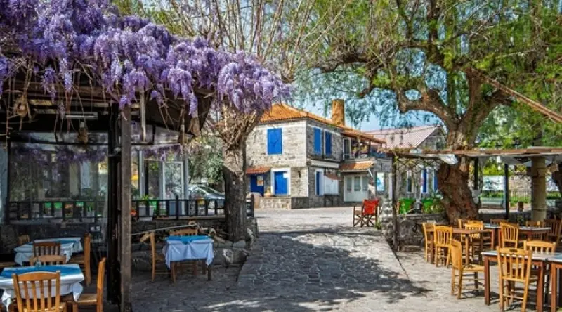 Unforgettable Tour from Izmir to Lesbos with Door Visa fotoğraf 6