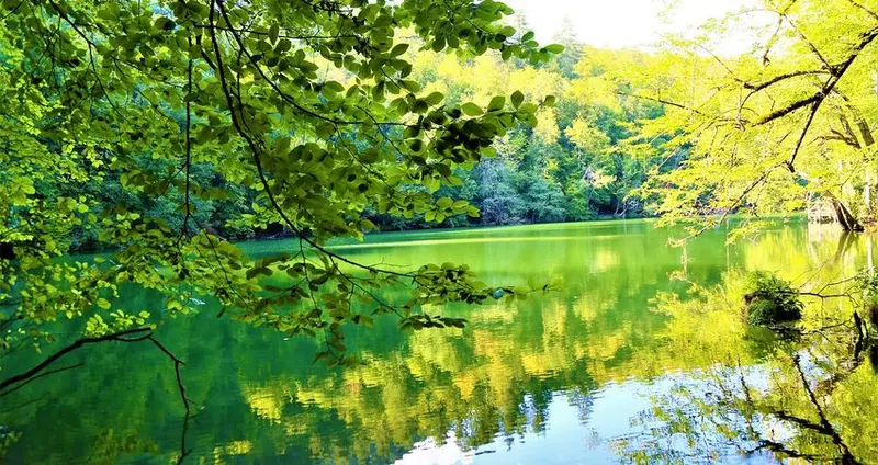 Batı Karadeniz, Şile Ağva ve Yedigöller Turu fotoğraf 2
