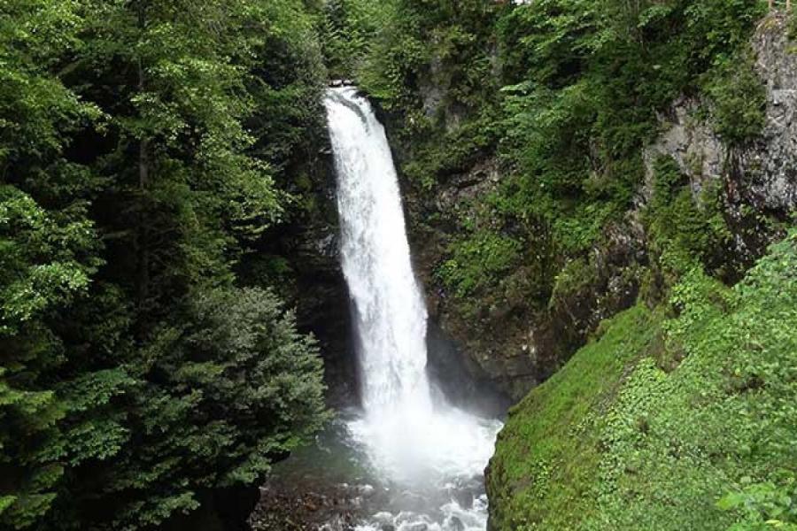 Uçaklı Karadeniz Yaylaları ve Batum Turu (3 Gece Otel Konaklamalı) — 4/5