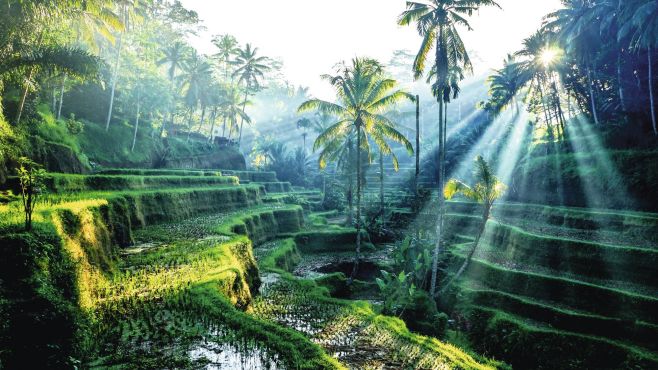 BALİ VE PHUKET İLE FENOMEN UZAK DOĞU TÜRK HAVA YOLLARI İLE 10 GECE 10 Gece Konaklama — 3/8