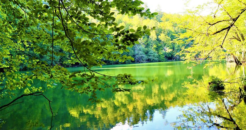 Batı Karadeniz, Şile Ağva ve Yedigöller Turu — 2/8