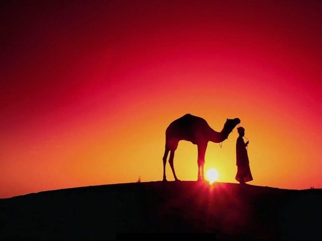 The Enchanting Kingdom of Morocco and the Sahara Desert 7 Nights - With Air Arabia (Spring 2027) — 5/6