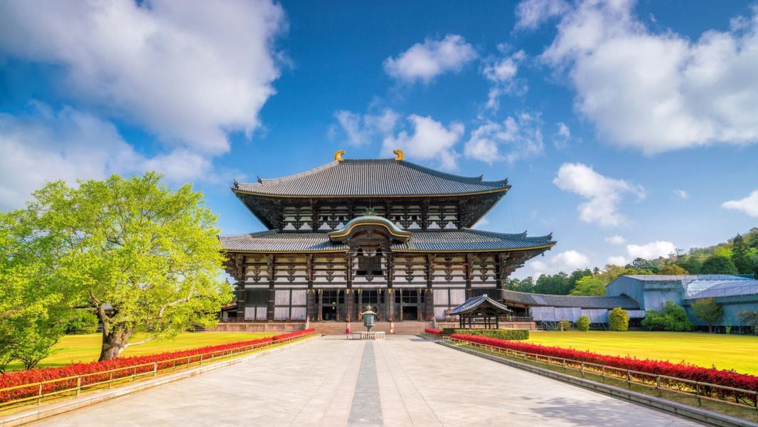 İstanbul'dan Grand Japonya Turu | 7 Gece 8 Gün Deneyimi — 2/2