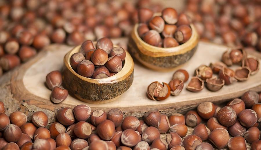 Uçaklı Batum ve Ayder Yaylası Turu (2 Gece Batum Konaklamalı) — 4/21